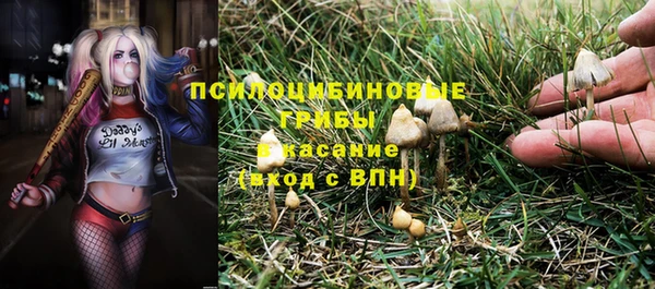 гидра Арсеньев