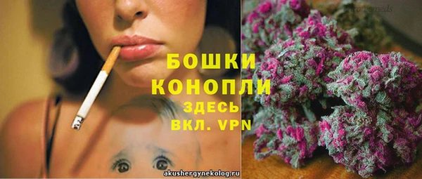 гашик Балахна
