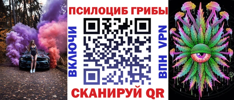 Псилоцибиновые грибы мицелий  МЕГА tor  Котельниково 
